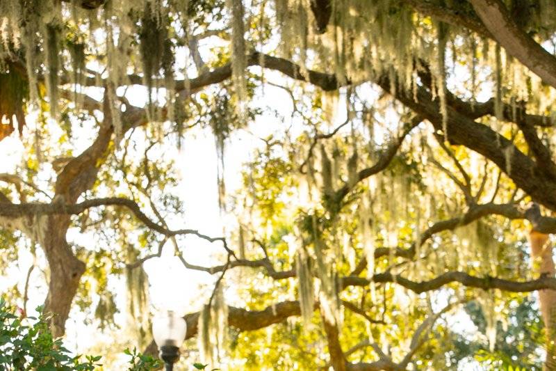 Todd Gilman Photography