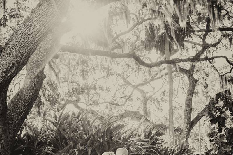 Todd Gilman Photography