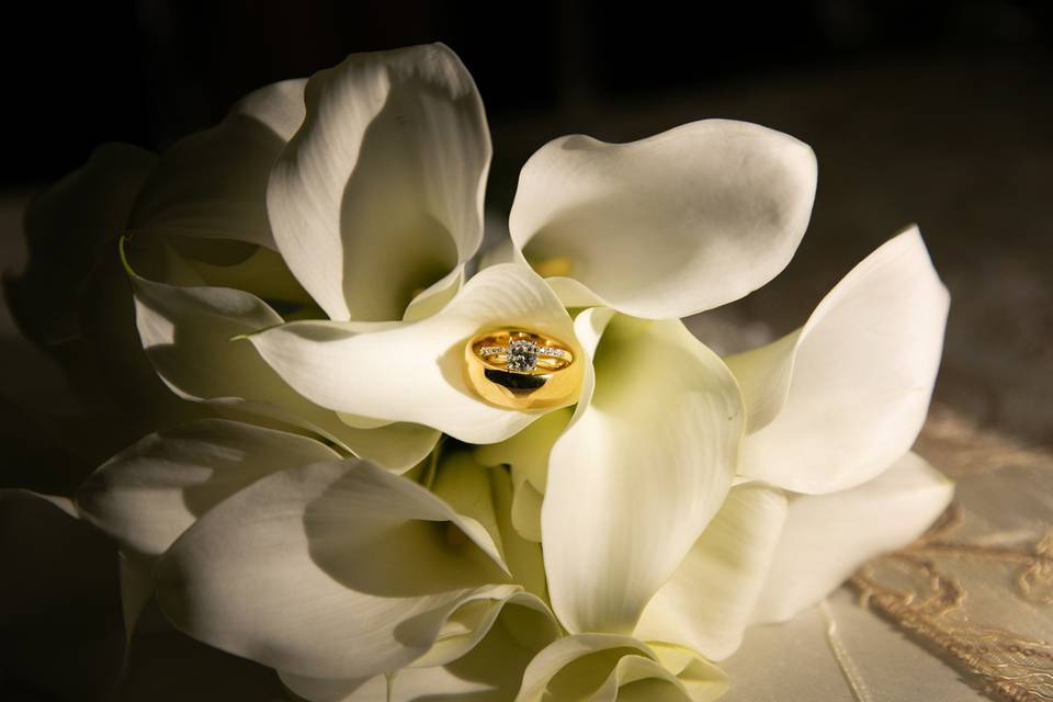 Todd Gilman Photography