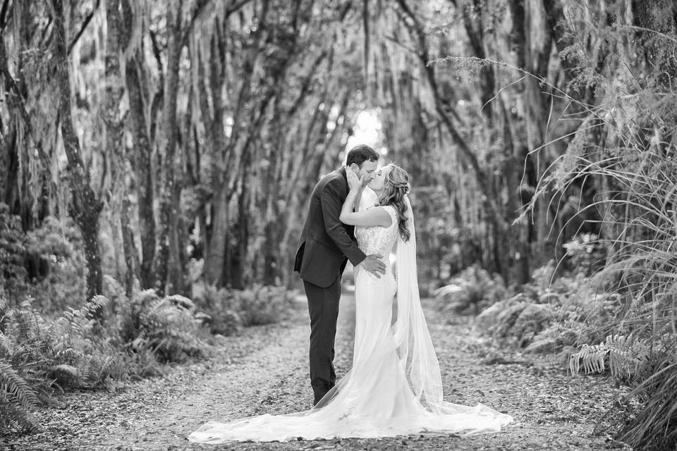 Todd Gilman Photography