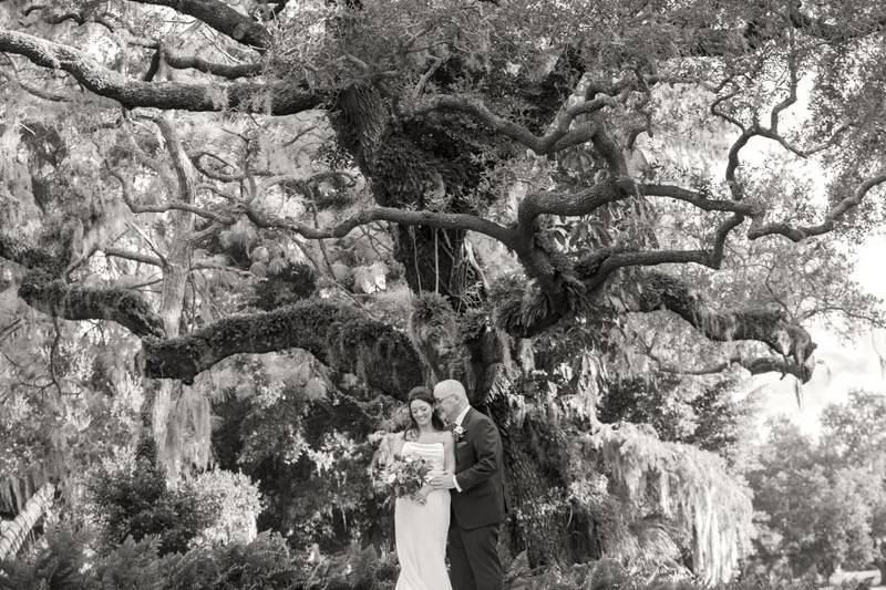 Todd Gilman Photography