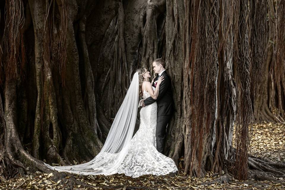 Todd Gilman Photography