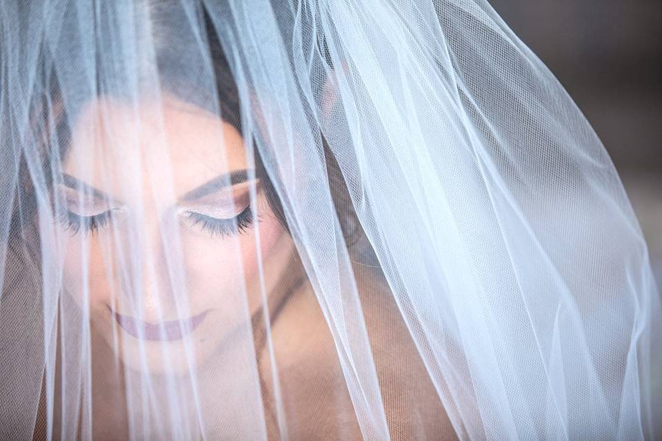 Todd Gilman Photography