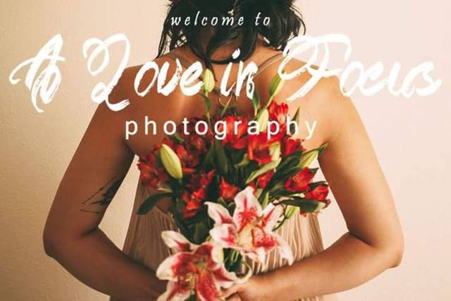 A Love in Focus Photography
