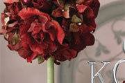 Wasatch Event & Wedding Rental