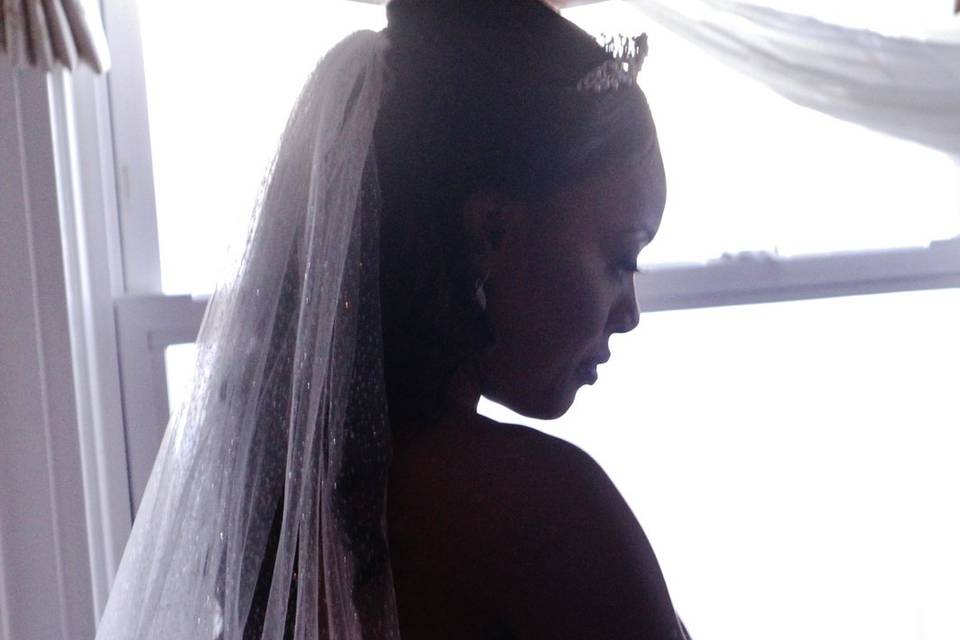 Marlene's Bridal silhouette