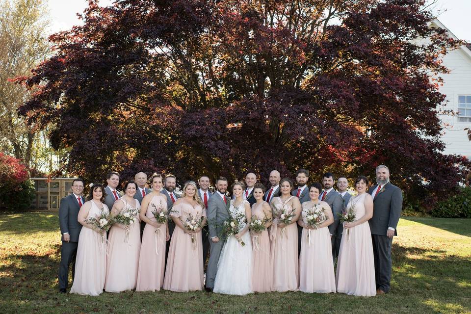 Bridal Party/Japanese Red Mapl