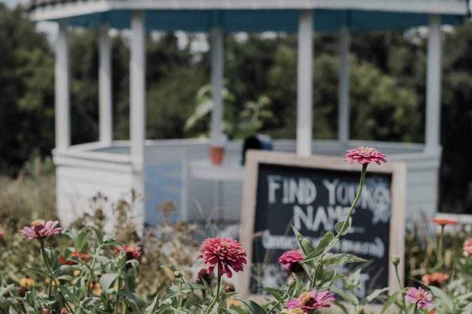 Zinnias & Gazebo