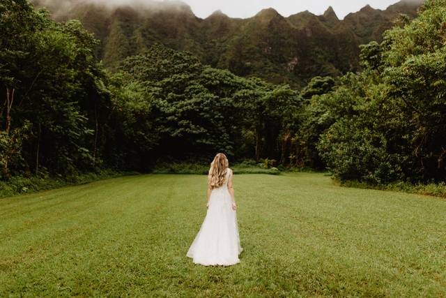 Hawaii Wedding