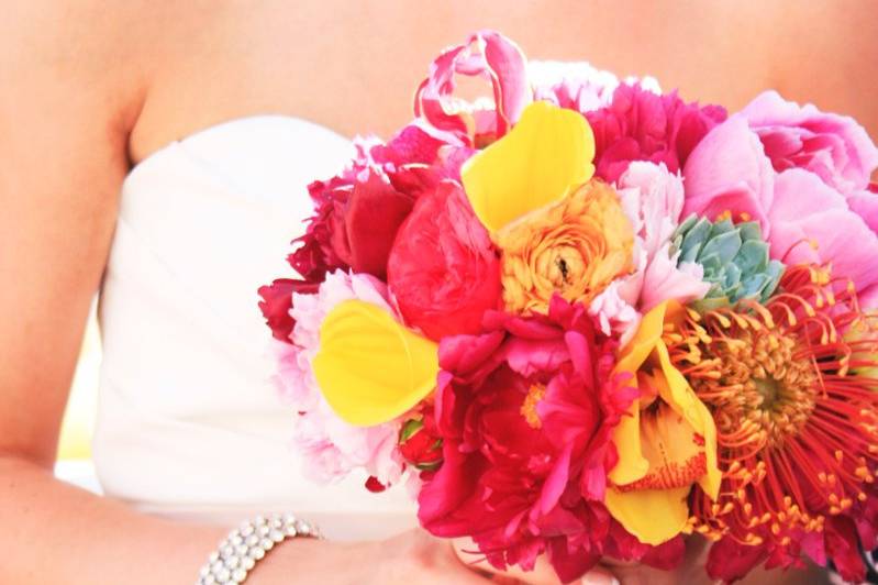 Krissy Merle Photography