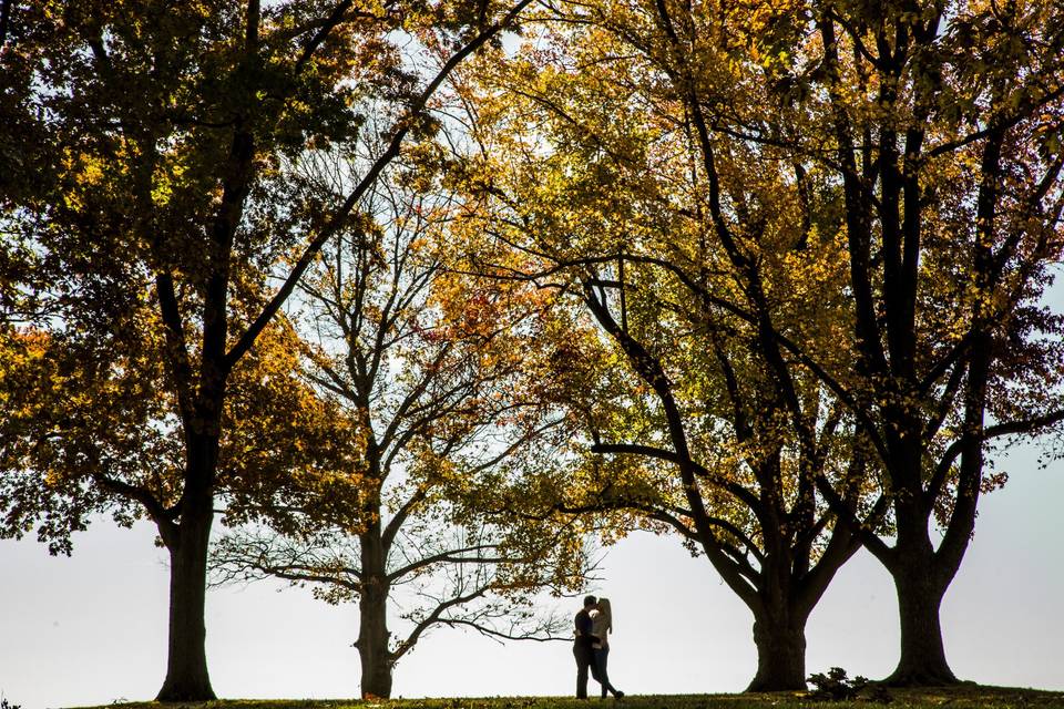 Under the trees