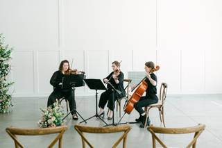 Watercress Strings