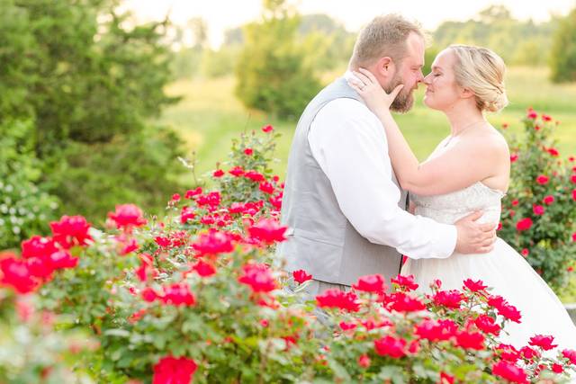 Bride and Groom by Rose Trees