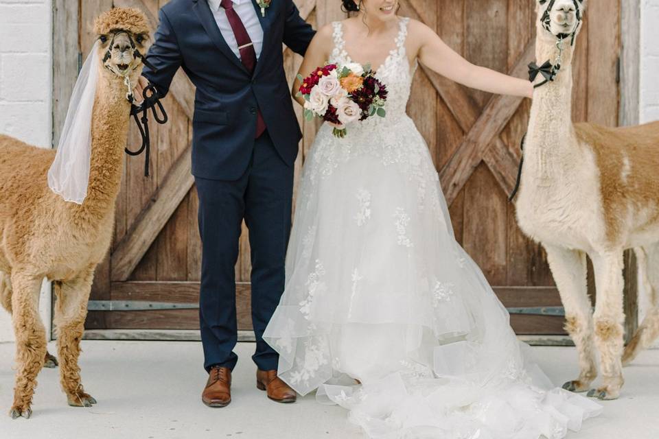 Groomsmen Photos at the Barn