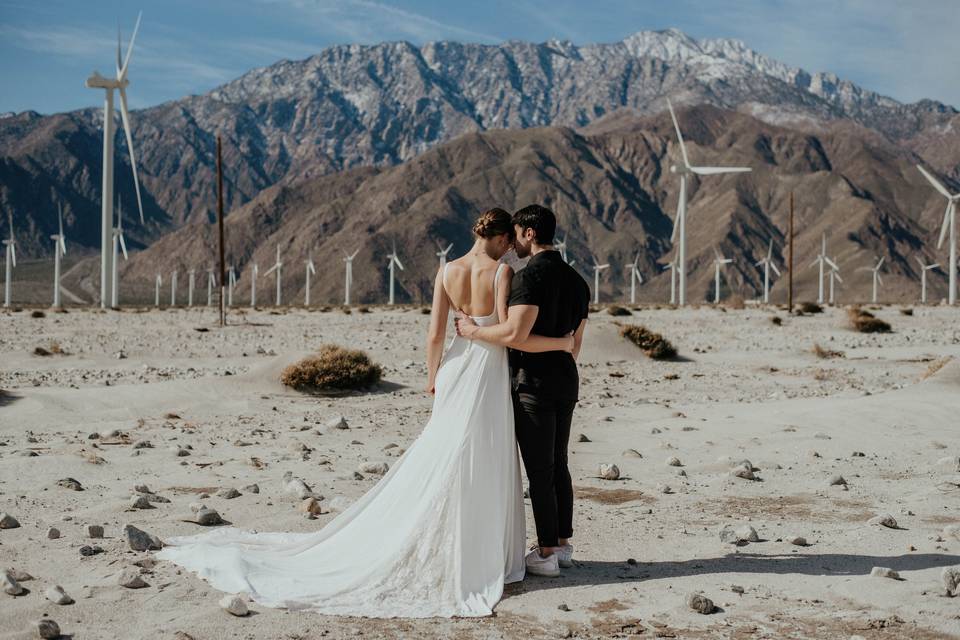 Palm Springs Elopement