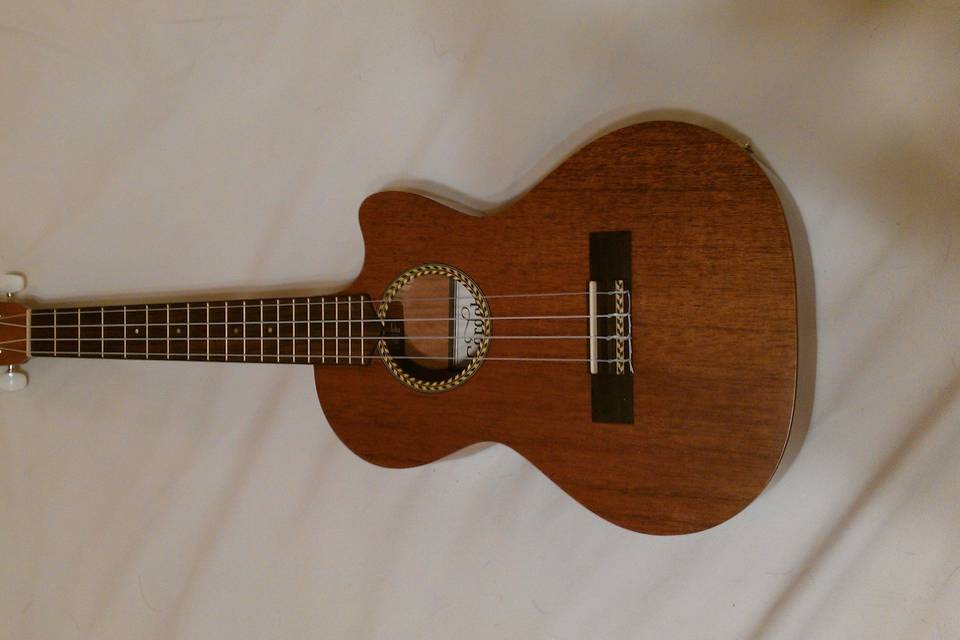 My ukulele for Hawaiian sounds and music.