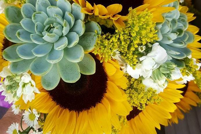 Sunflowers & Succulents