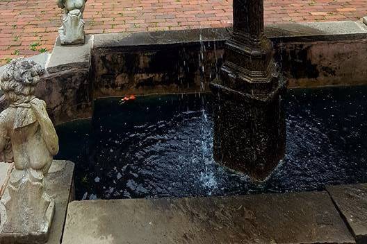 Fountain Flowers