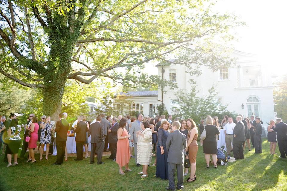 Cocktails under the oak tree