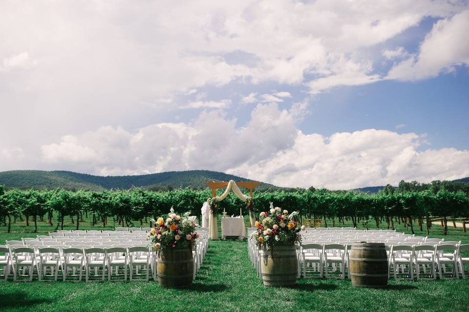 Simplistic vineyard location