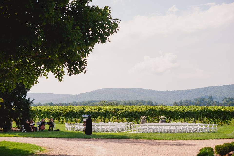 Keswick's vineyard location