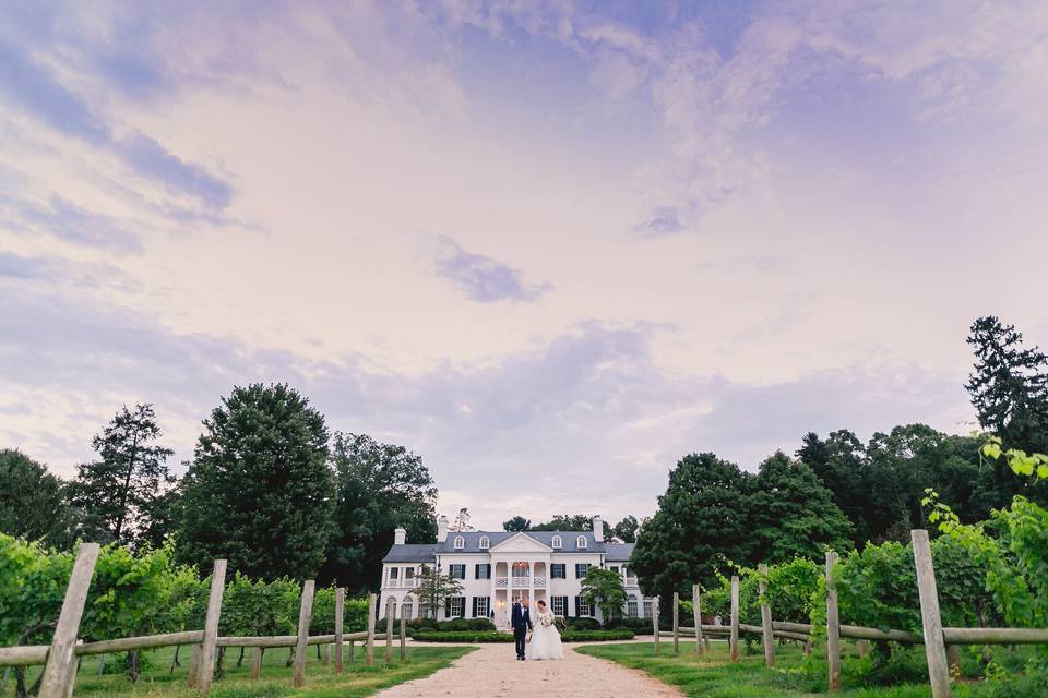 Beautiful vineyard and estate