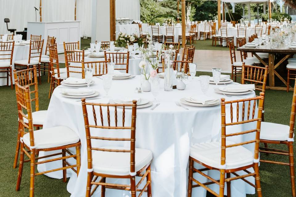 Reception under the tent