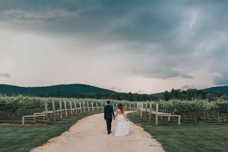 Walking through the vineyard