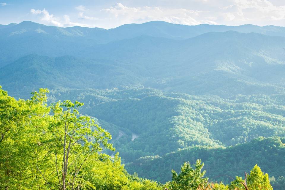 Mountain top summer view