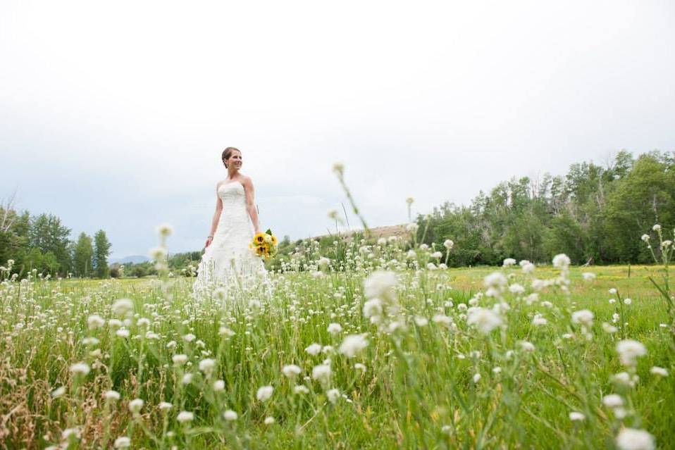 Montana Wildflower Weddings