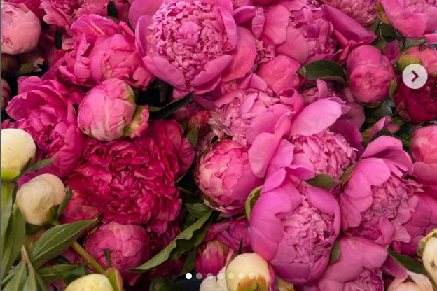 Flowers from Pike Place Market