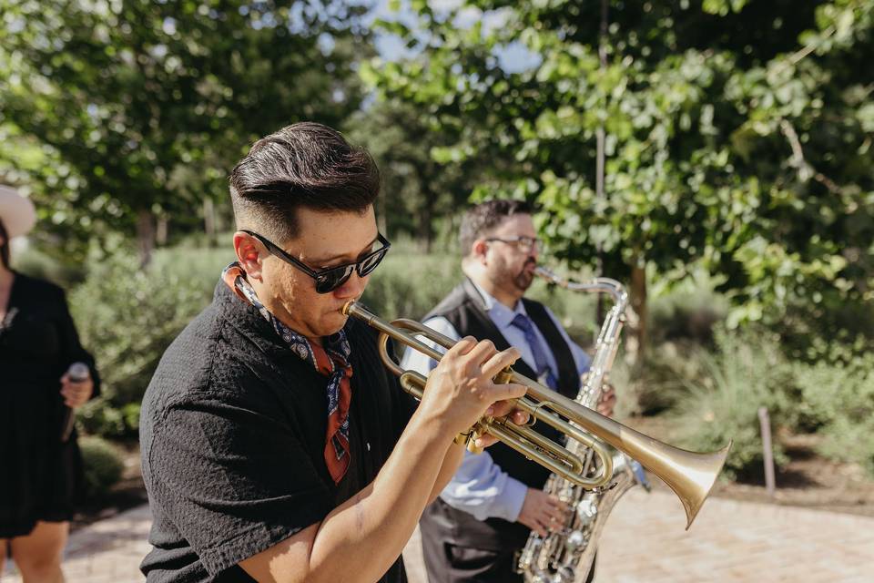Royal Dukes Band