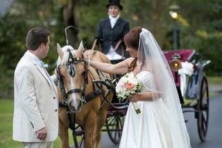 Heritage Carriages