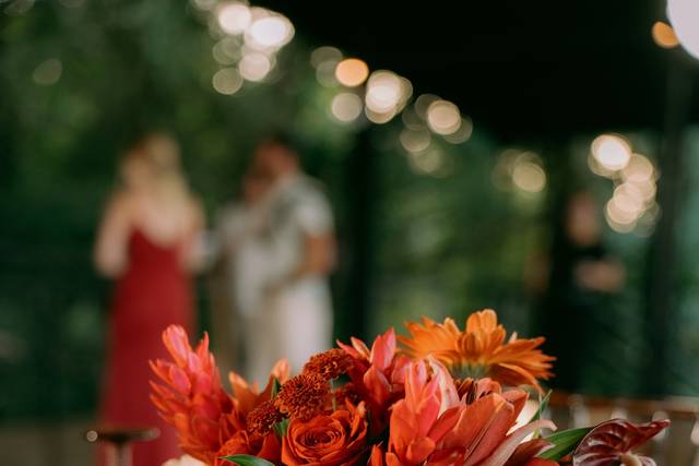Tropical arrangements