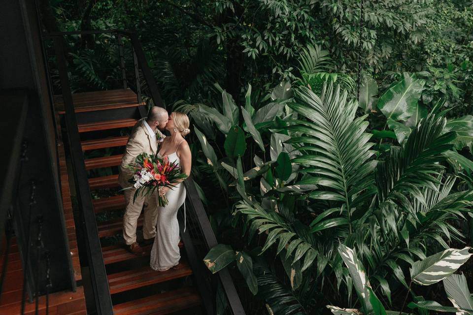 Rainforest pics