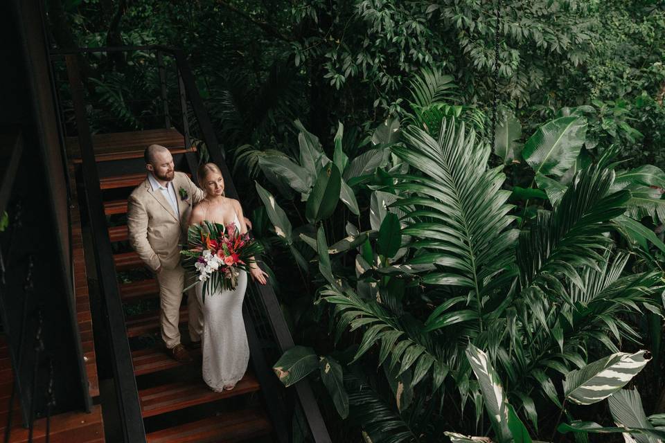 Rainforest