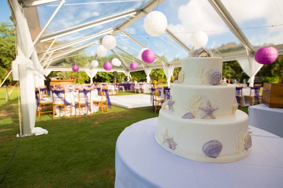 A Rainbow in Paradise Weddings