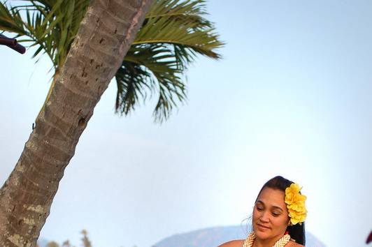 A Rainbow in Paradise Weddings