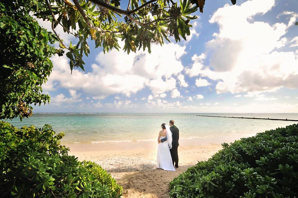 A Rainbow in Paradise Weddings