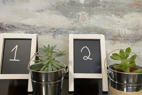 Growing succulents