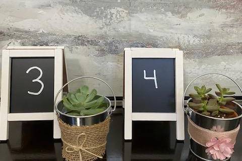 Succulent giveaways
