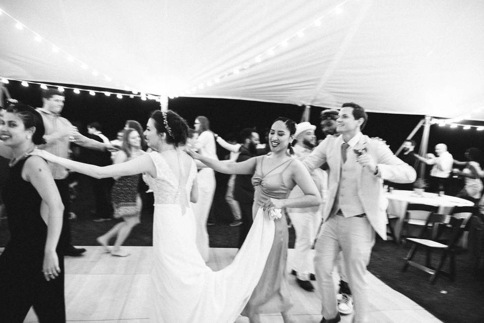 Wedding conga line