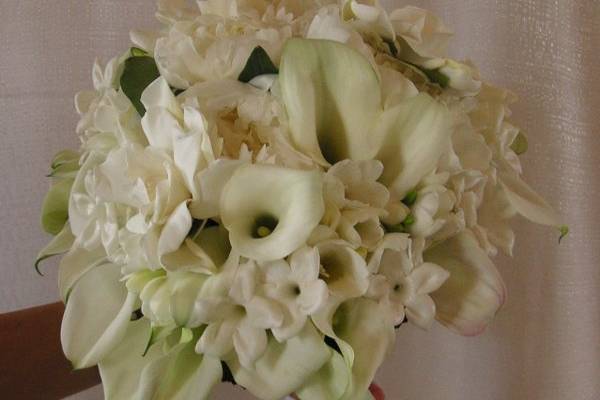 Bride's bouquet of stephanotis, white calla lilies, gardenias, peonies and freesia with natural stems wrapped in white satin ribbon