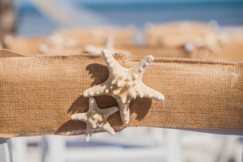Starfish details