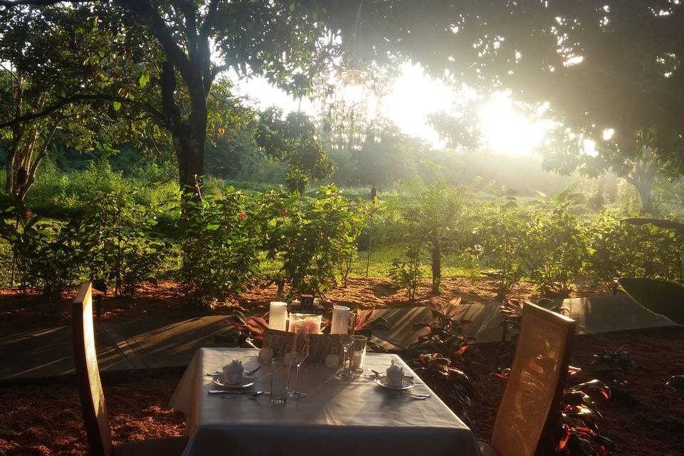 Dinner for 2 in the jungle....with a chandelier