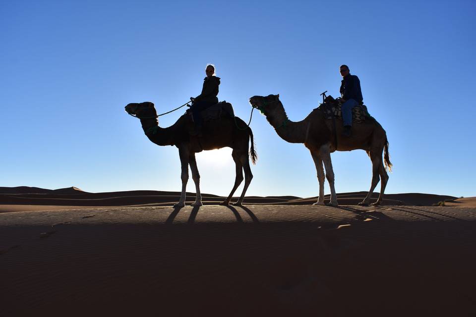Riding Camels in Morocco