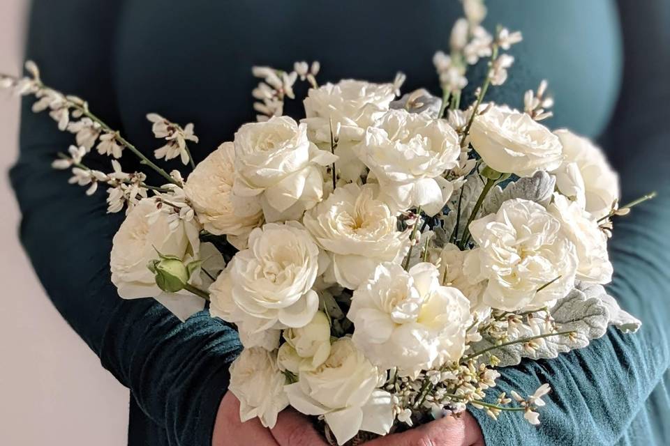 Classic white roses