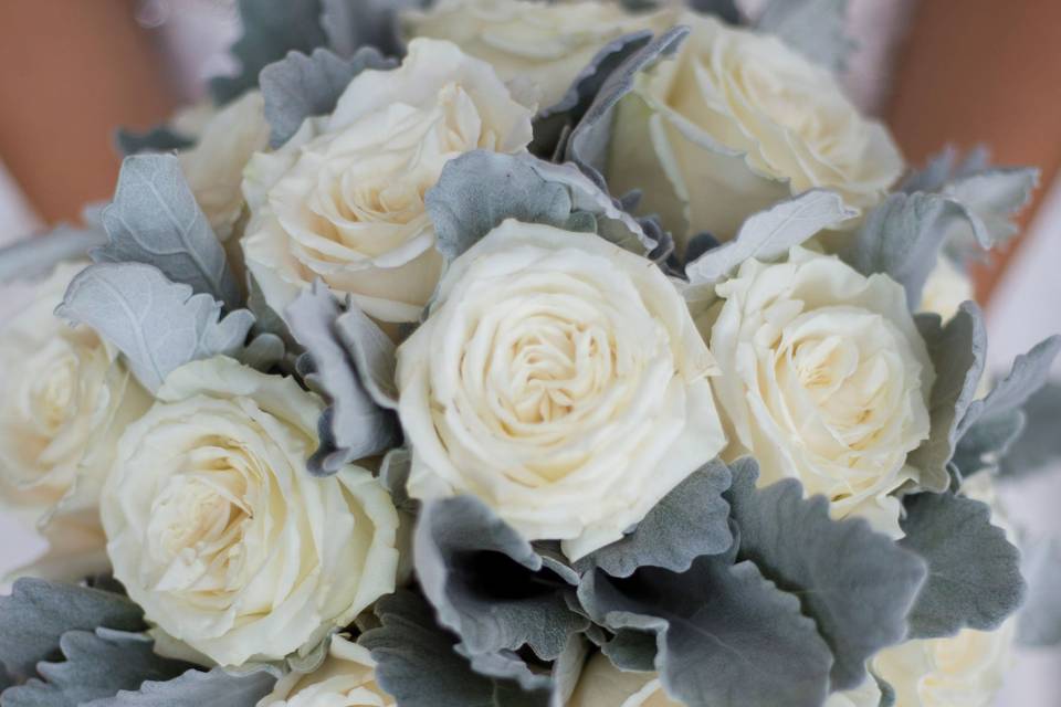 Bright white roses