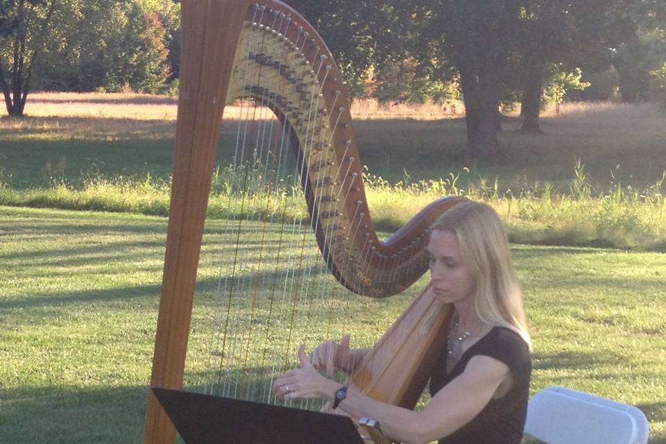 Harpist