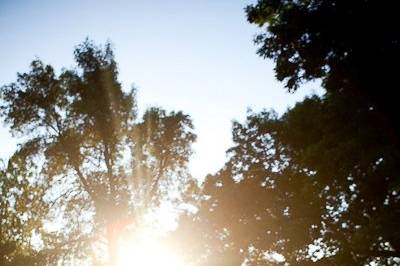 Wendi Riggens Photography